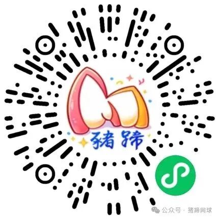 猪蹄网球小程序码