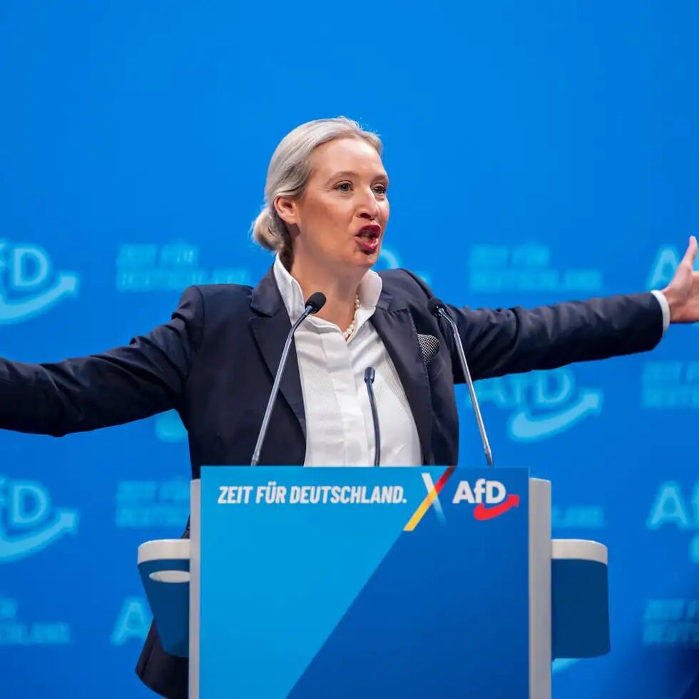 Alice Weidel: The unlikely leader driving the far-right AfD to new ...